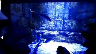 An great time in Liverpool exploring the World Museum. #Aquarium #sealife #Liverpool #school