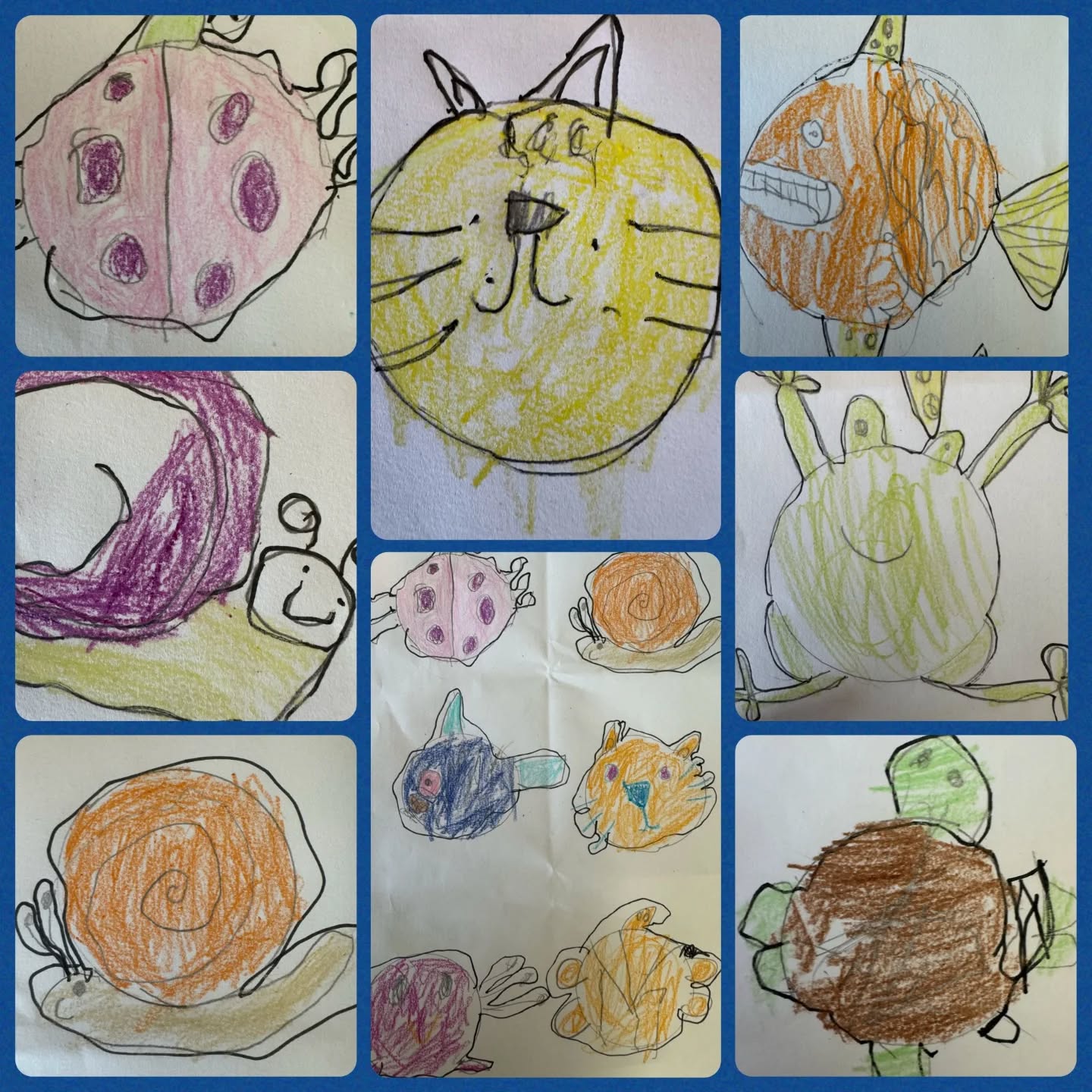 Gorgeous drawings of animals based on a circle… simple drawing development in Year 1 supporting their animal topic. #art #artistsofinstagram #artstudio #school #artgallery #artcollector