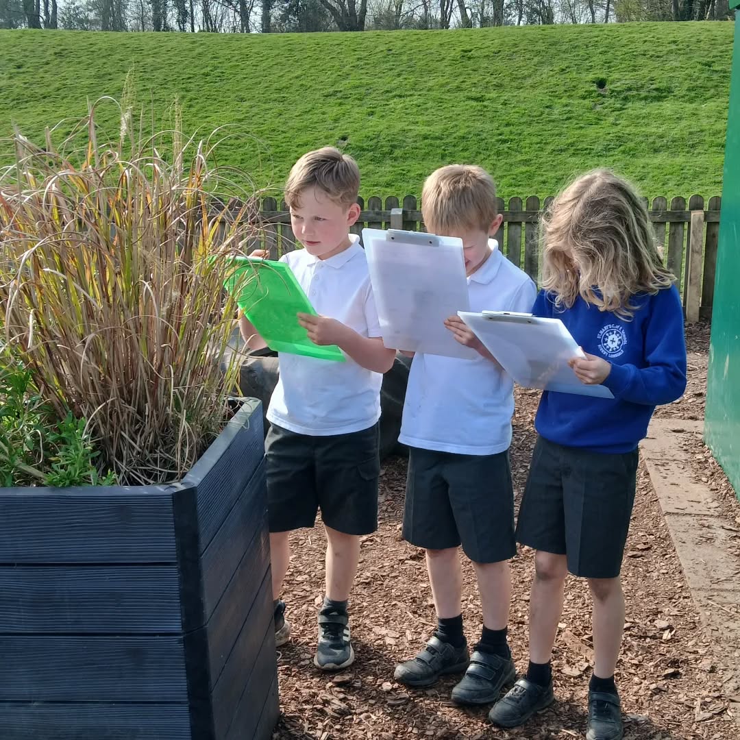 Year 3 exploring our grounds in science ... #science #spring