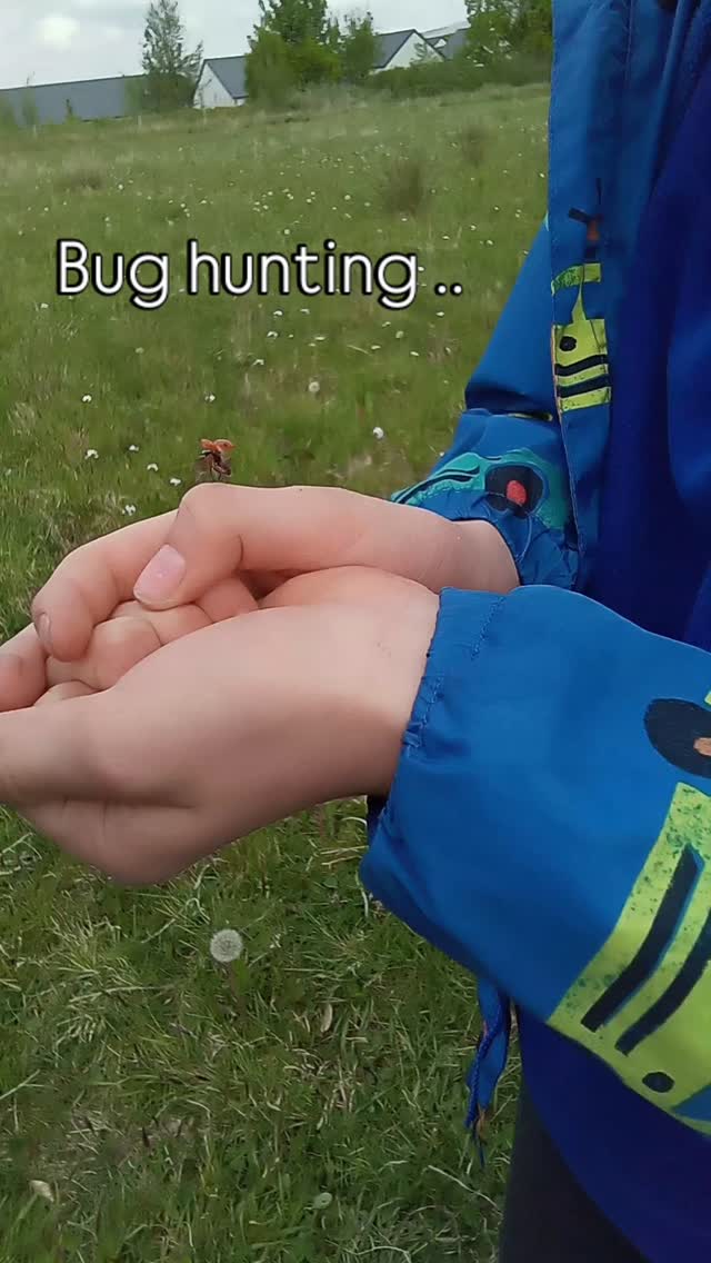 We have had the best time ever exploring our school and finding bugs and insects! #science #nature #explore #learn