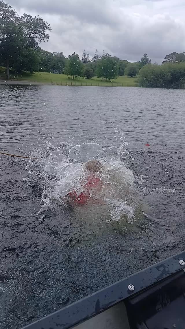 What a great day at school. #lakesofinstagram  #cumbria #lakedistrict #fun #swim