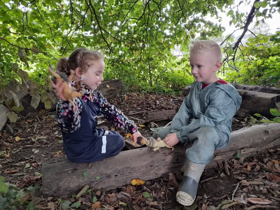 Fun in the forest.